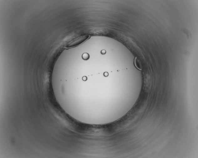 X0000114030260200910161826