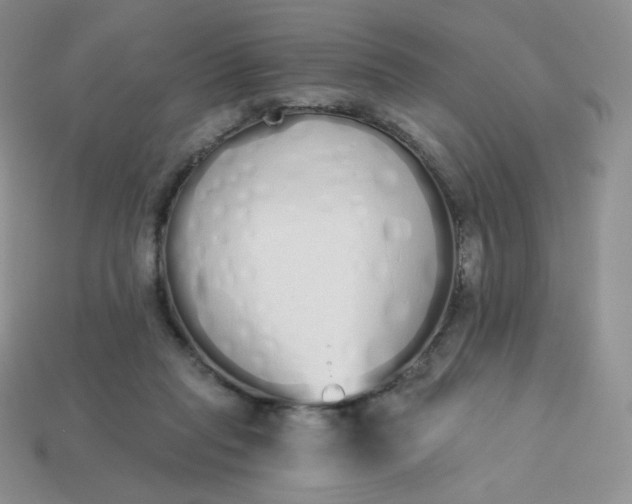 X0000114030261200910161826