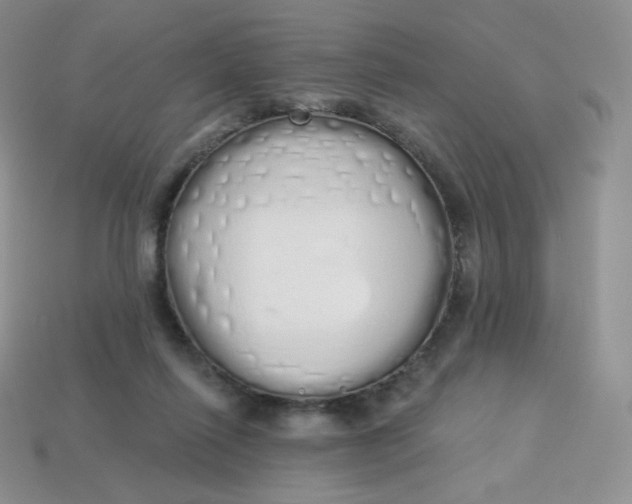 X0000114030262200910161826