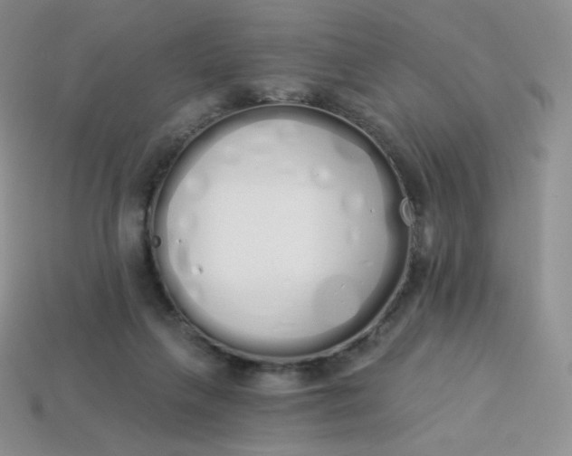 X0000114030263200910161826