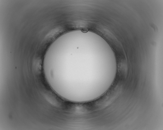 X0000114030264200910161826