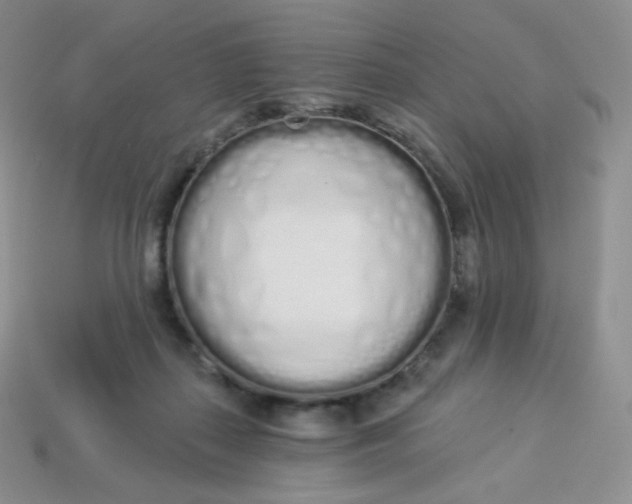 X0000114030267200910161826