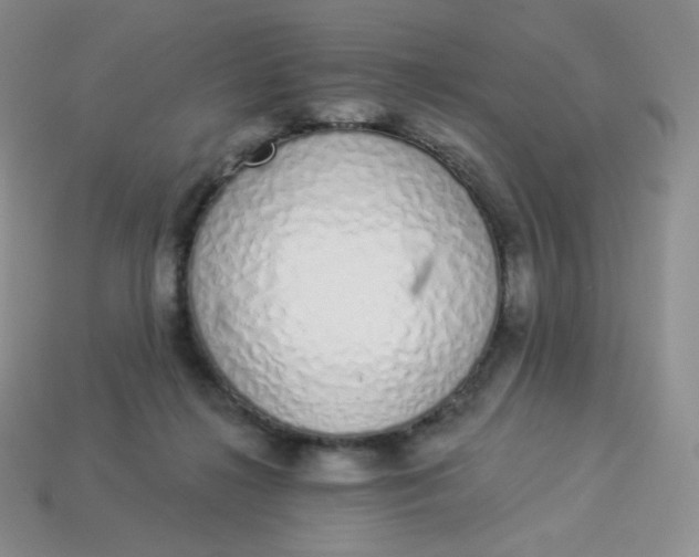 X0000114030268200910161826