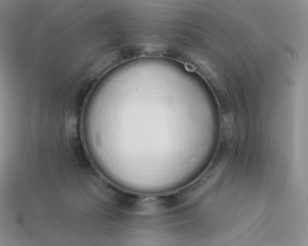 X0000114030269200910161826