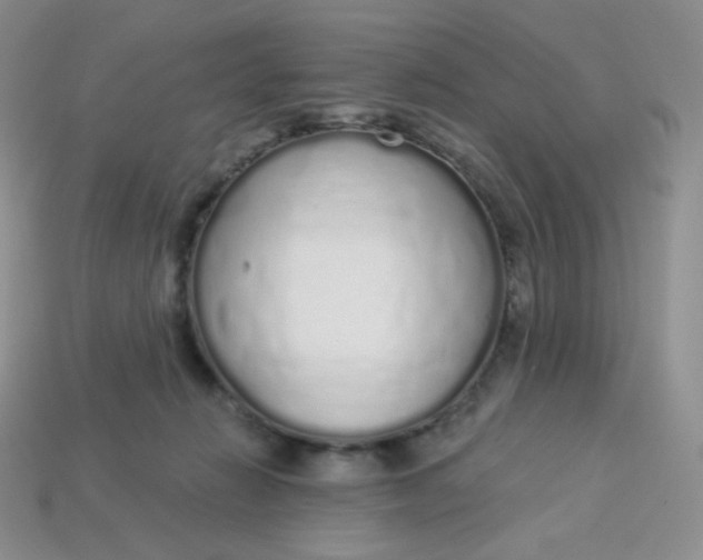 X0000114030270200910161826