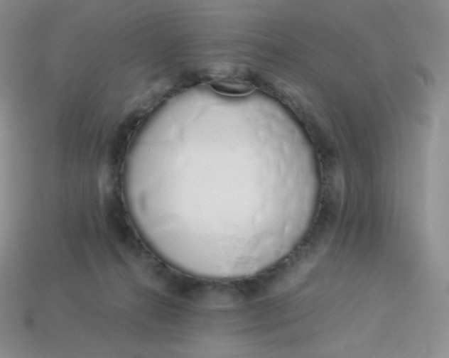 X0000114030272200910161826