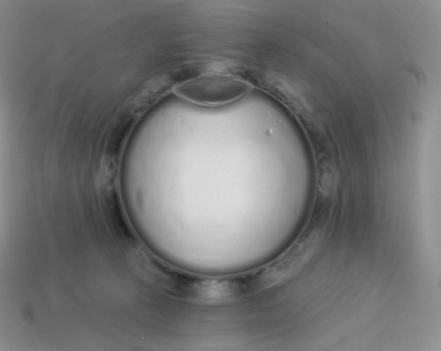 X0000114030273200910161826