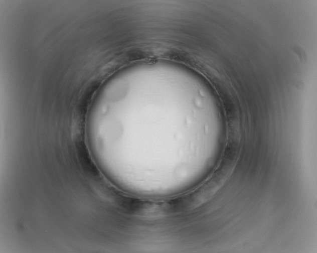 X0000114030274200910161826