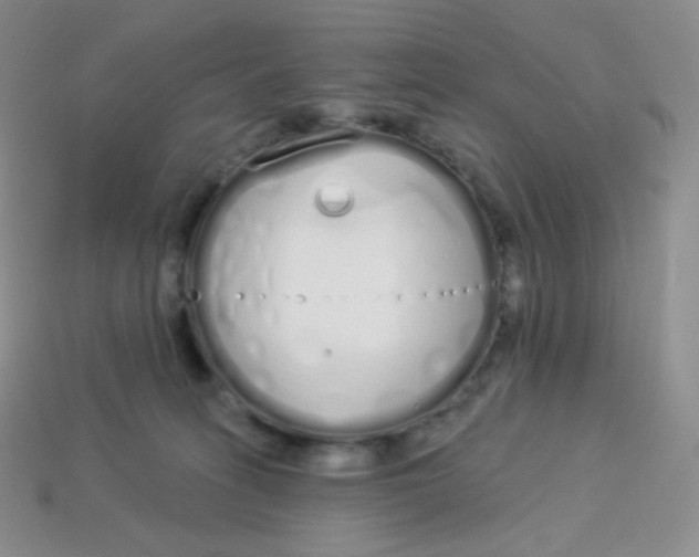 X0000114030275200910161826