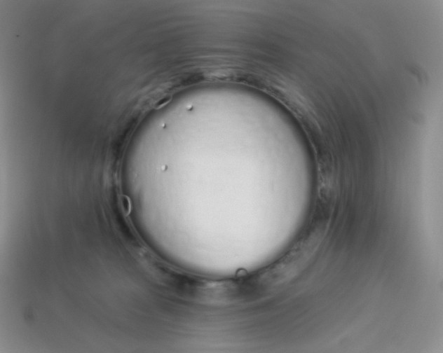 X0000114030277200910161827