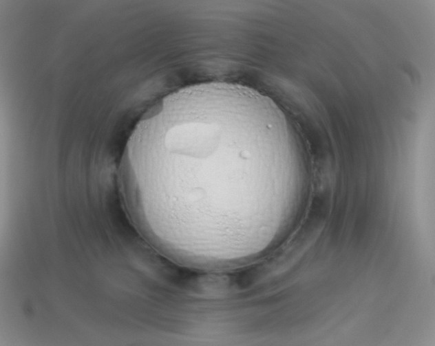 X0000114030279200910161827