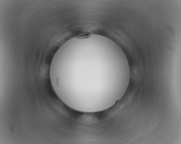 X0000114030280200910161827