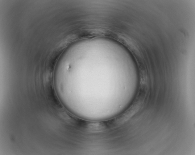 X0000114030281200910161827