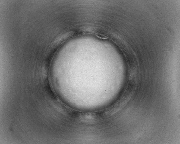 X0000114030282200910161827