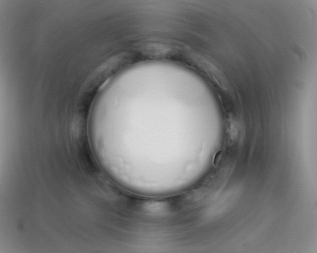 X0000114030283200910161827