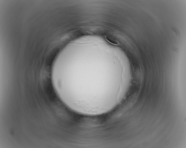 X0000114030284200910161827