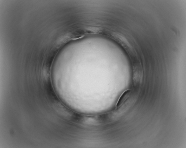 X0000114030285200910161827