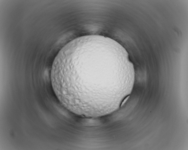 X0000114030286200910161827