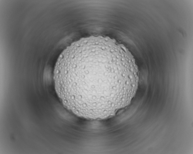 X0000114030287200910161827