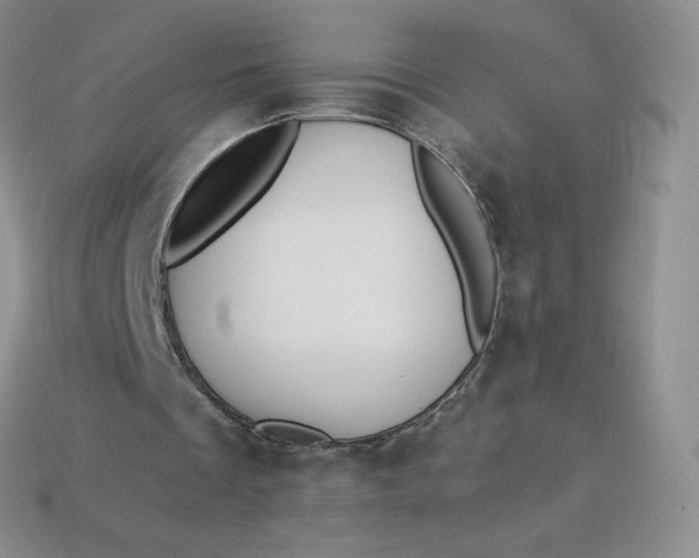 X0000114030289200910161826