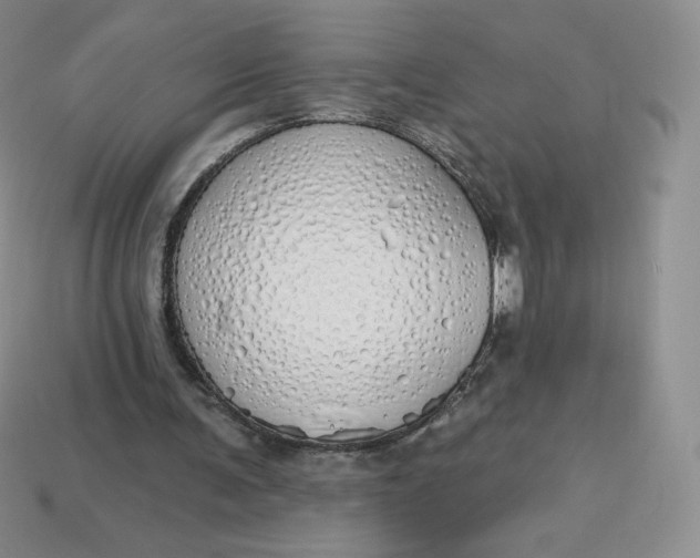 X0000114030291200910161826