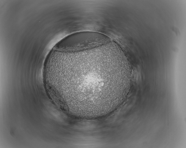 X0000114030292200910161826