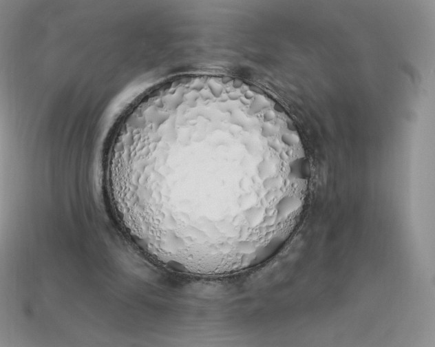 X0000114030294200910161826