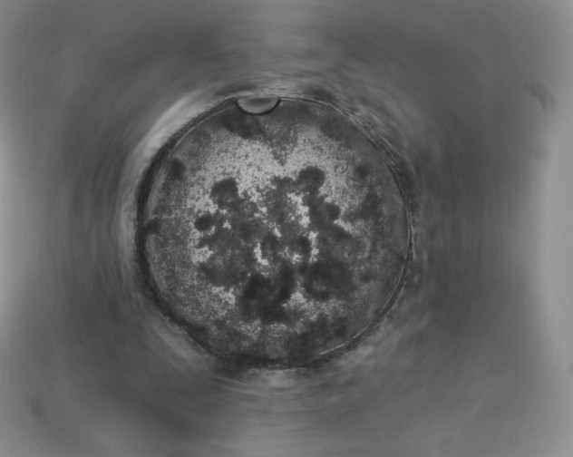 X0000114030295200910161826