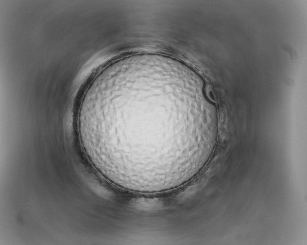 X0000114030296200910161826