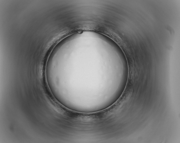 X0000114030299200910161826