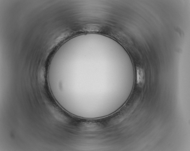 X0000114030300200910161826