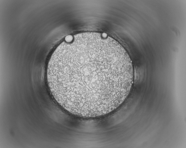 X0000114030301200910161826