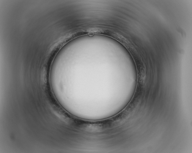 X0000114030303200910161826