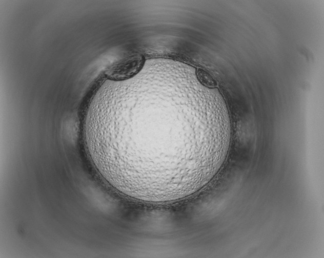 X0000114030304200910161826