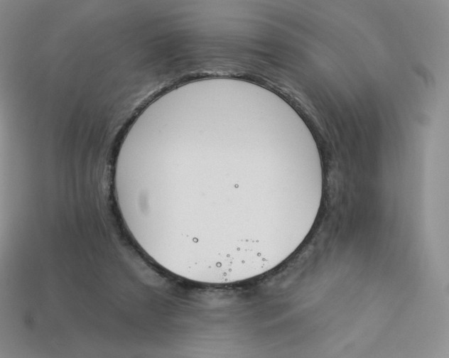 X0000114030305200910161826