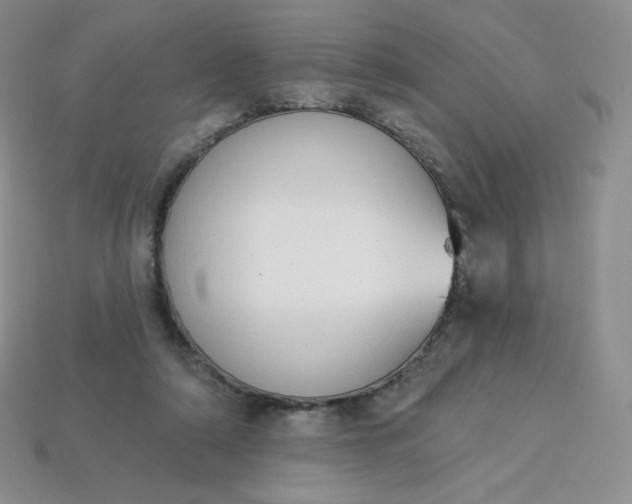 X0000114030306200910161826