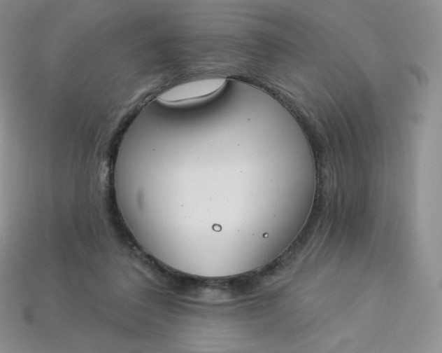 X0000114030308200910161826