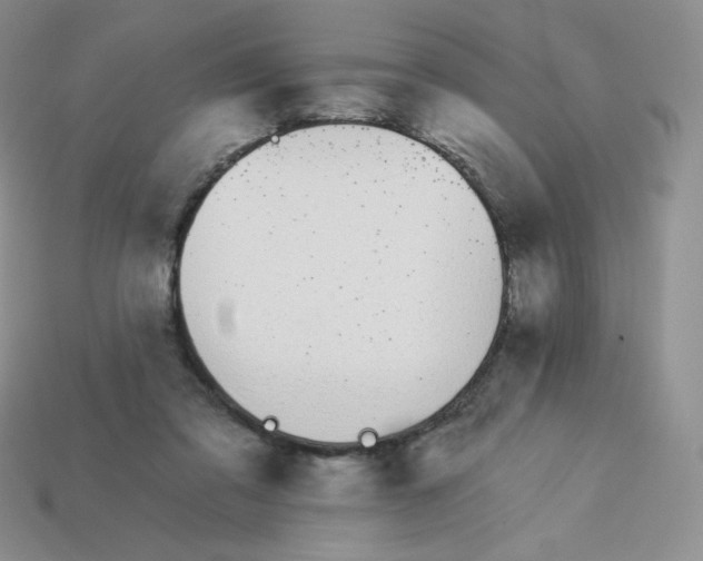 X0000114030309200910161825