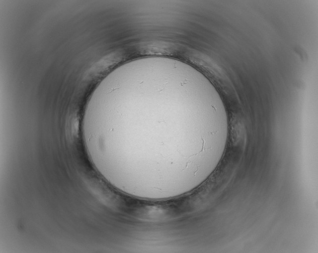 X0000114030310200910161825