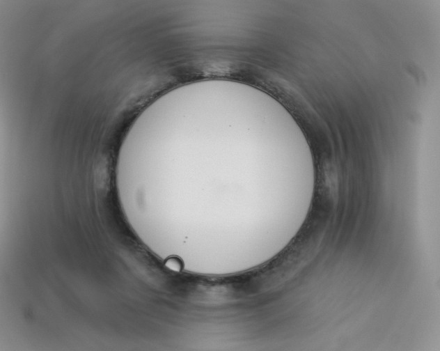 X0000114030311200910161825