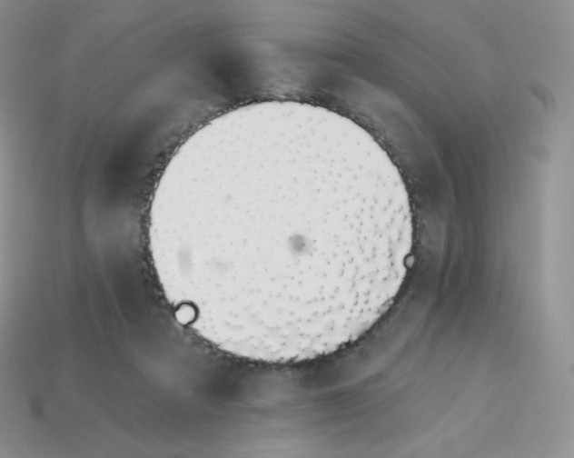 X0000114030313200910161825