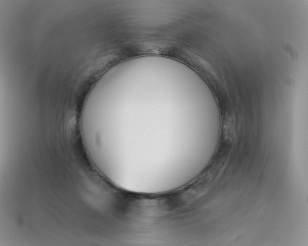 X0000114030314200910161825