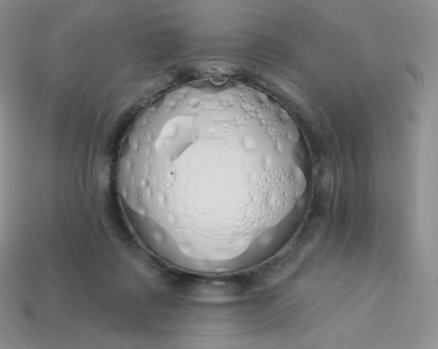 X0000114030315200910161825