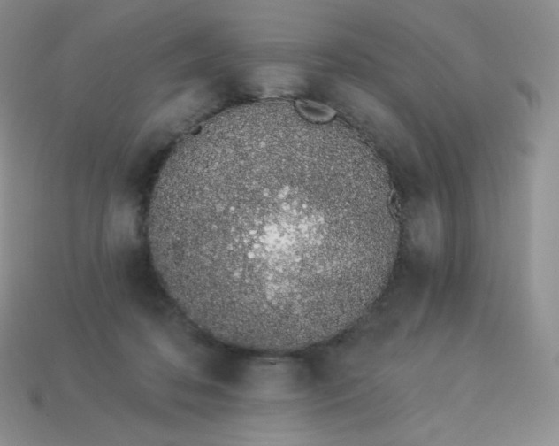 X0000114030316200910161825