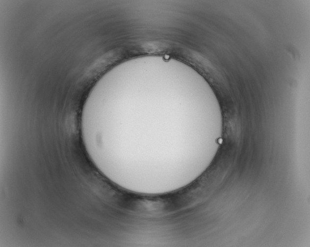 X0000114030317200910161825