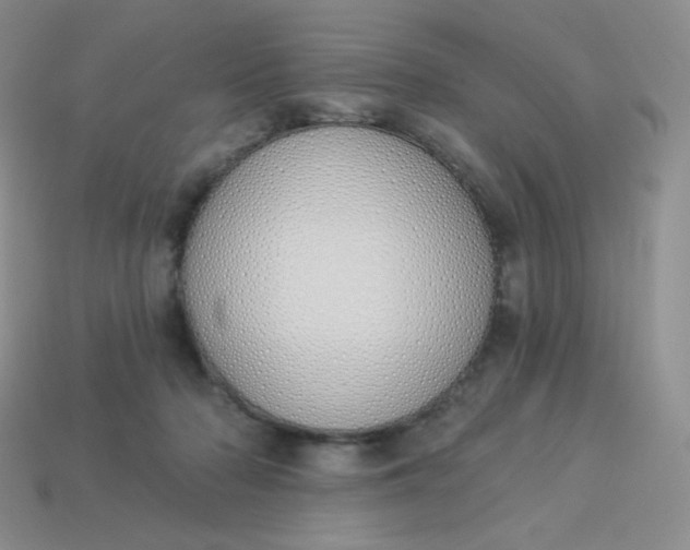 X0000114030318200910161825