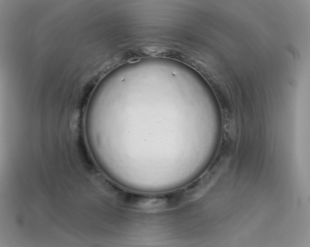 X0000114030319200910161825