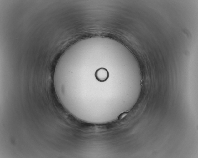 X0000114030320200910161825