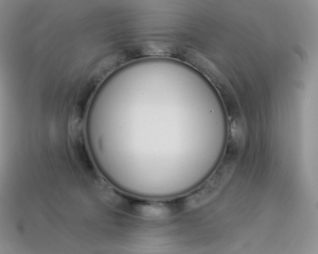 X0000114030322200910161825