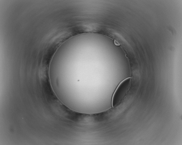 X0000114030325200910161825